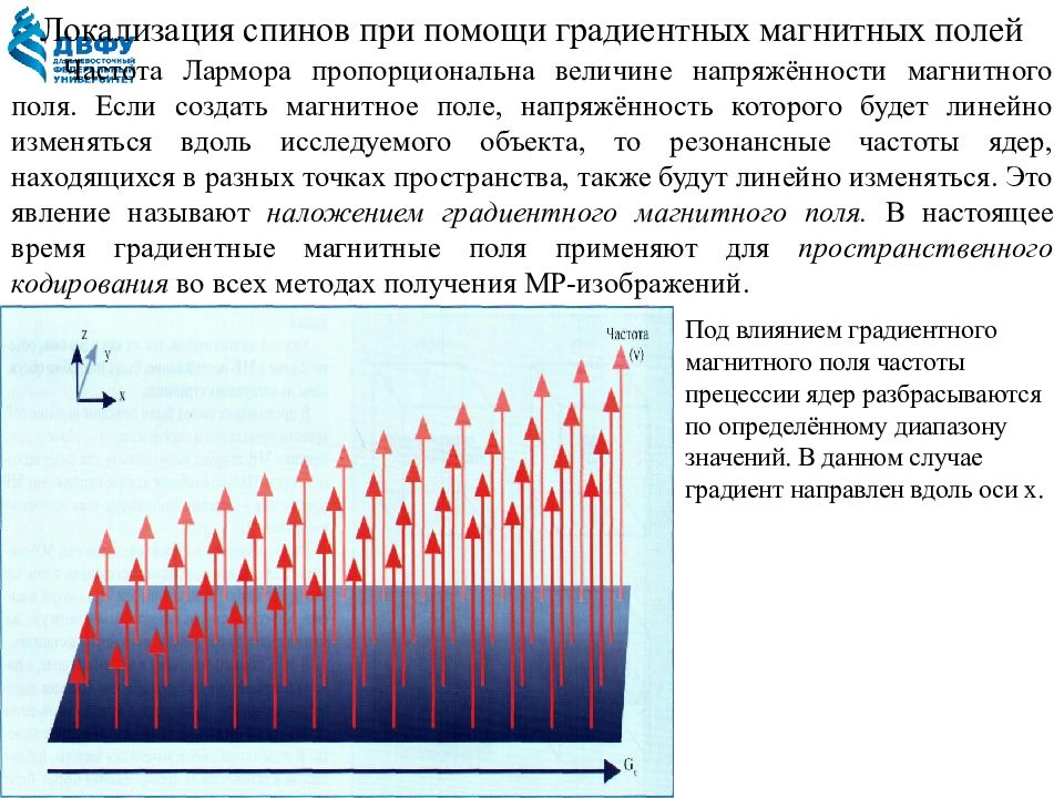 Поле частот. Градиент магнитного поля. Градиентное магнитное поле. Измерение градиентов магнитного поля. Расчет градиентов магнитного поля.