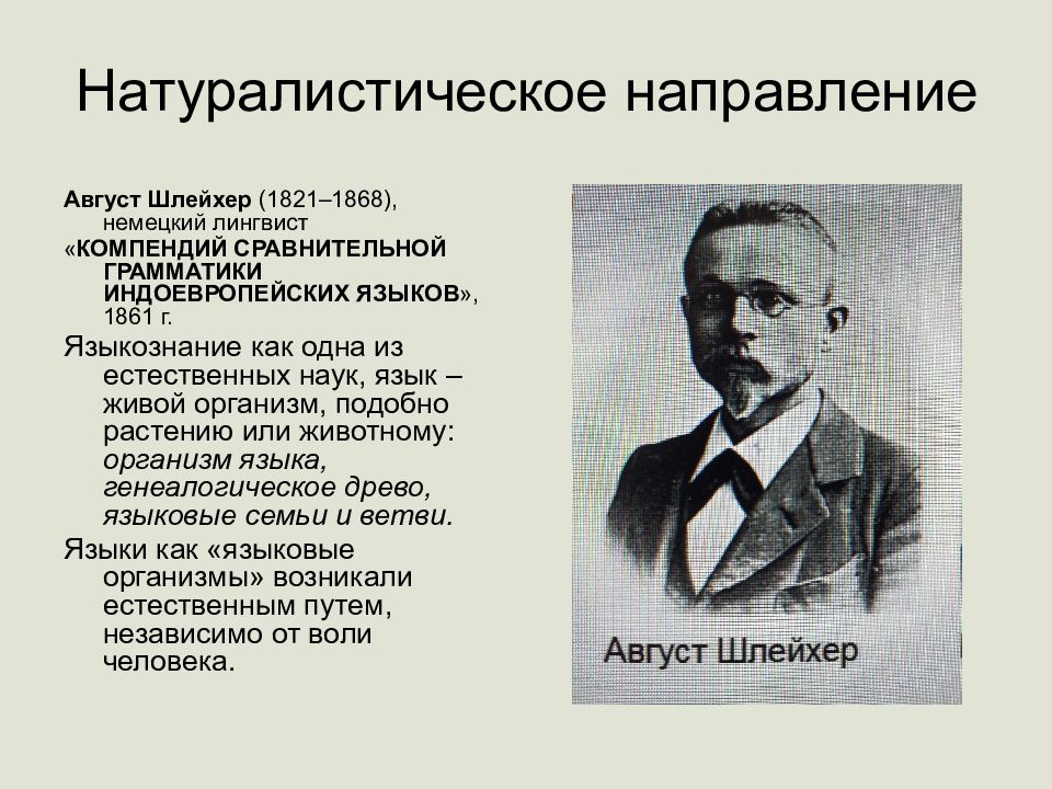 Историческое направление. Натуралистическое направление в языкознании. Август Шлейхер лингвист. Август Шлейхер (1821-1868). Натуралистическое направление в языкознании а Шлейхер.