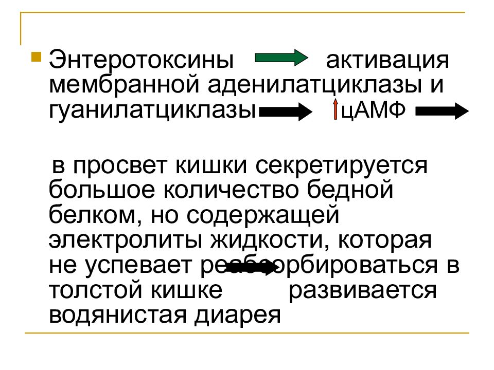 Презентация на тему эшерихиоз