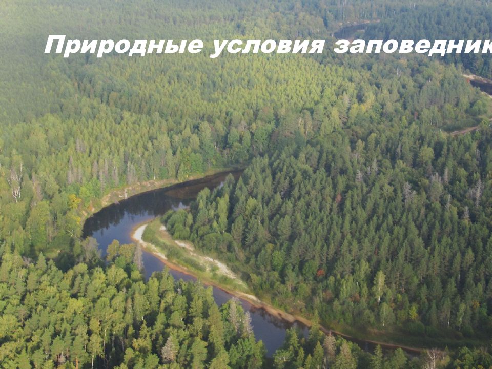 Природные условия заповедника. Баргузинский байкальский заповедник. Сибирь алтай горы. Кавказский государственный заповедник краснодарского края. Башкирский заповедник саргая.