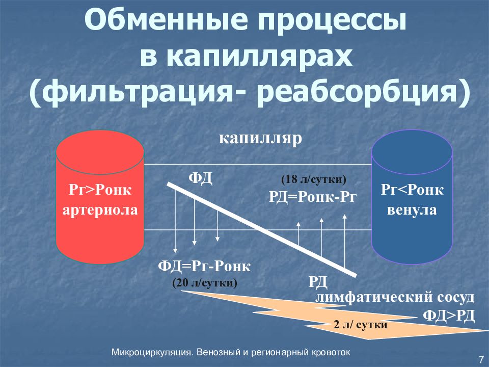 Процесс фильтрации. Обменные процессы в капиллярах. Фильтрация в капиллярах. Фильтрация и реабсорбция в капиллярах. Обменные процессы в капиллярах физиология.