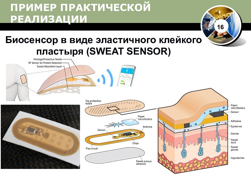 Биосенсоры и биочипы презентация