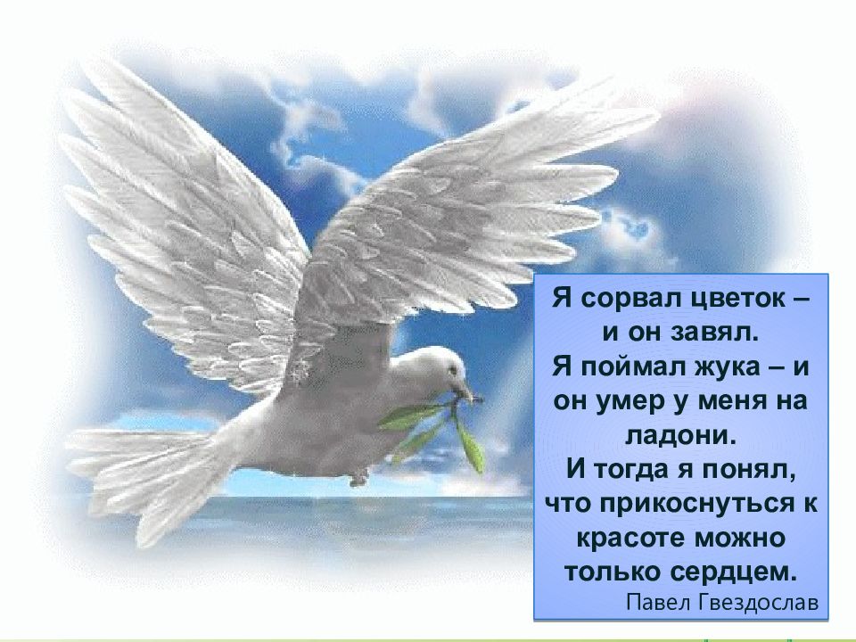 З живе. С днем Святого духа. Поздравление с духовым днем. С днем Святого духа открытки.