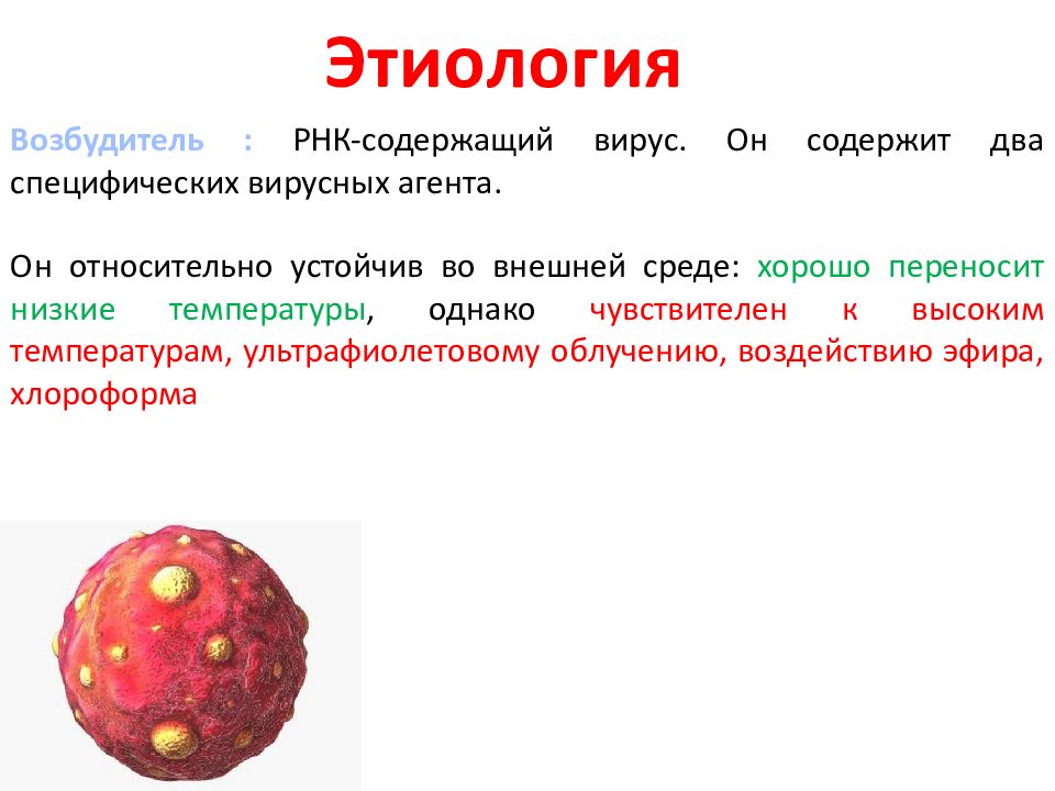 Геморрагическая лихорадка с почечным синдромом презентация