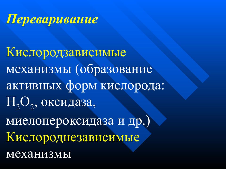 Образованные активные. Кислородзависимые механизмы. Фагоцитоз кислородзависимые и кислороднезависимые. Кислородзависимые и кислороднезависимые механизмы киллинга.. Кислороднезависимые механизмы бактерицидности.