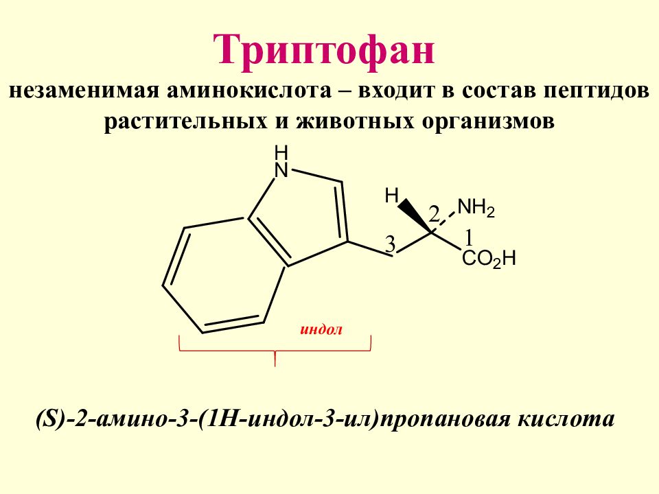 Триптофан это