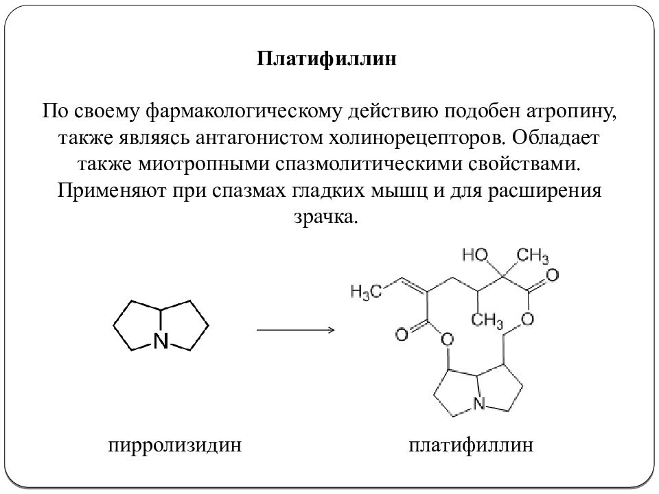 Платифиллин действующее. Алкалоиды производные пирролизидина. Платифиллин структурная формула. Платифиллин механизм действия фармакология. Химическая формула платифиллин.