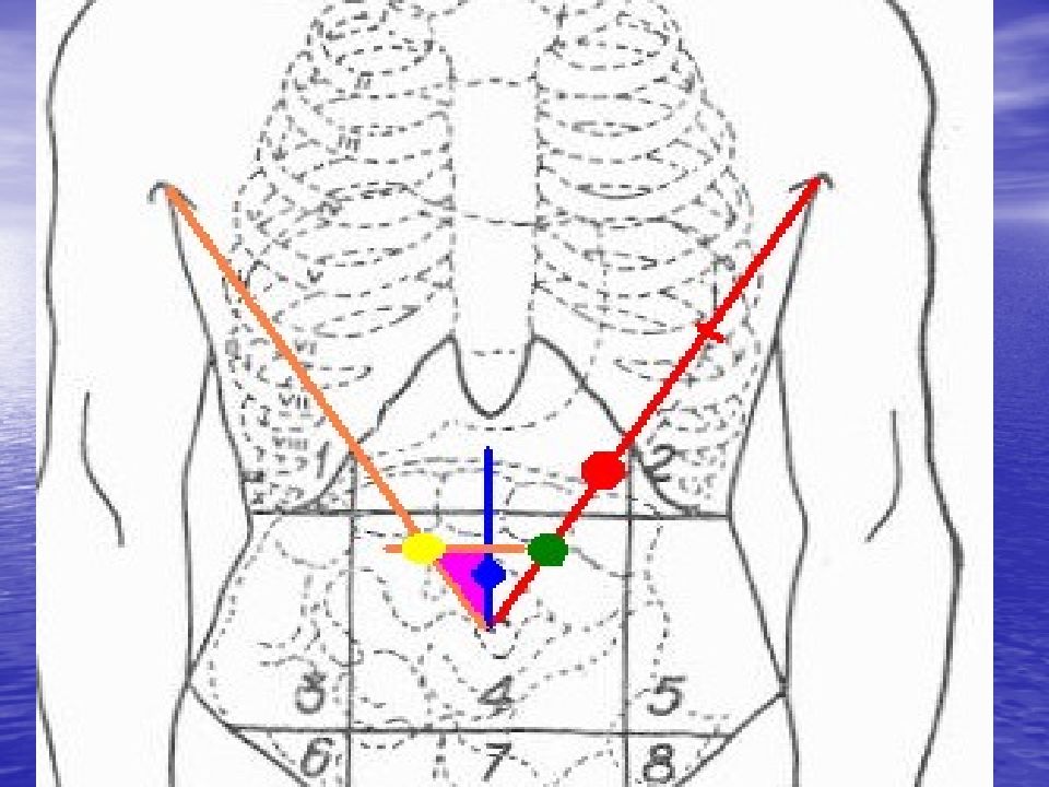 Поджелудочная точки. Точка проекции желчного пузыря. Проекция желчного пузыря на переднюю брюшную стенку. Проекция поджелудочной железы.