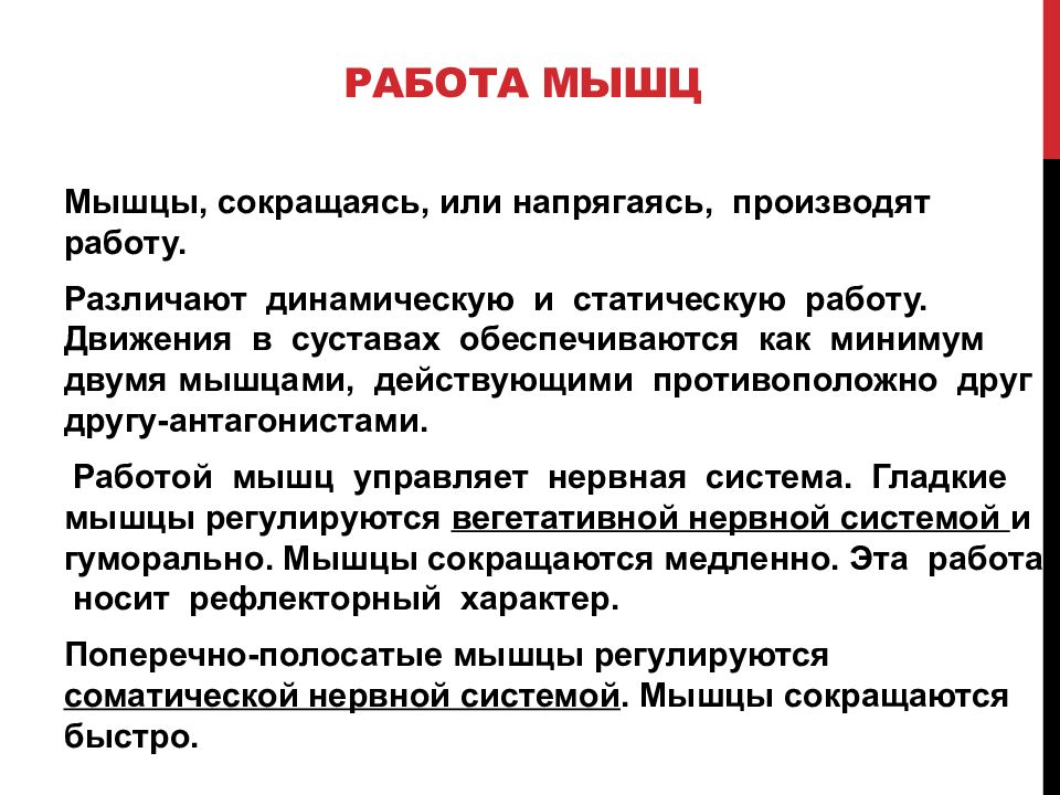 Динамические мышцы и статический. Работа мышц. Мышцы робота. Конспект по теме работа мышц. Динамическая работа скелетной мышцы.