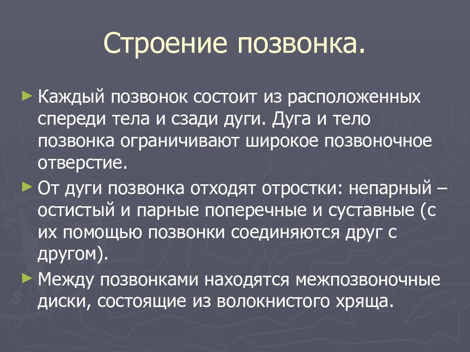 Каждый позвоночник состоит из тела и дуги. Каждый позвонок состоит из тела и дуги. Каждый позвонок состоит из. Каждый позвоночник состоит из тела и дуги правда или нет.