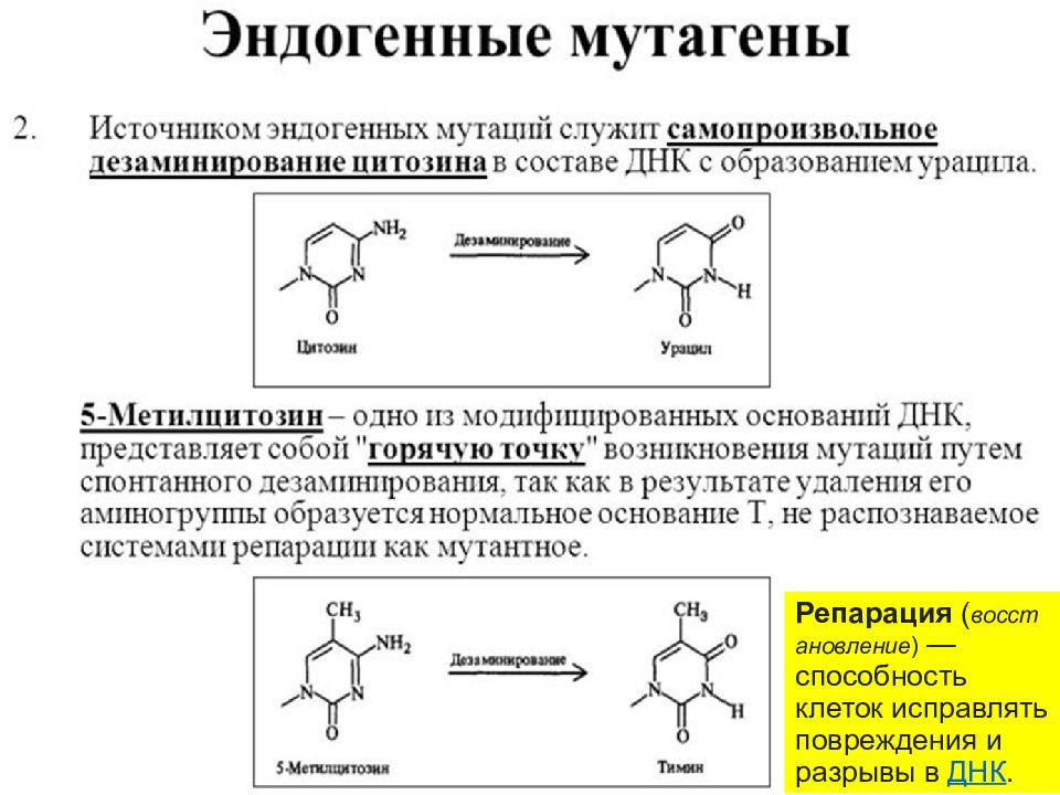 Восстановление способности. Репарация источники энергии. Репарация в биотехнологии. Фармбиотех.