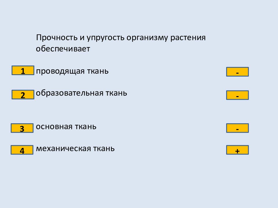 Презентация 6 класс тест