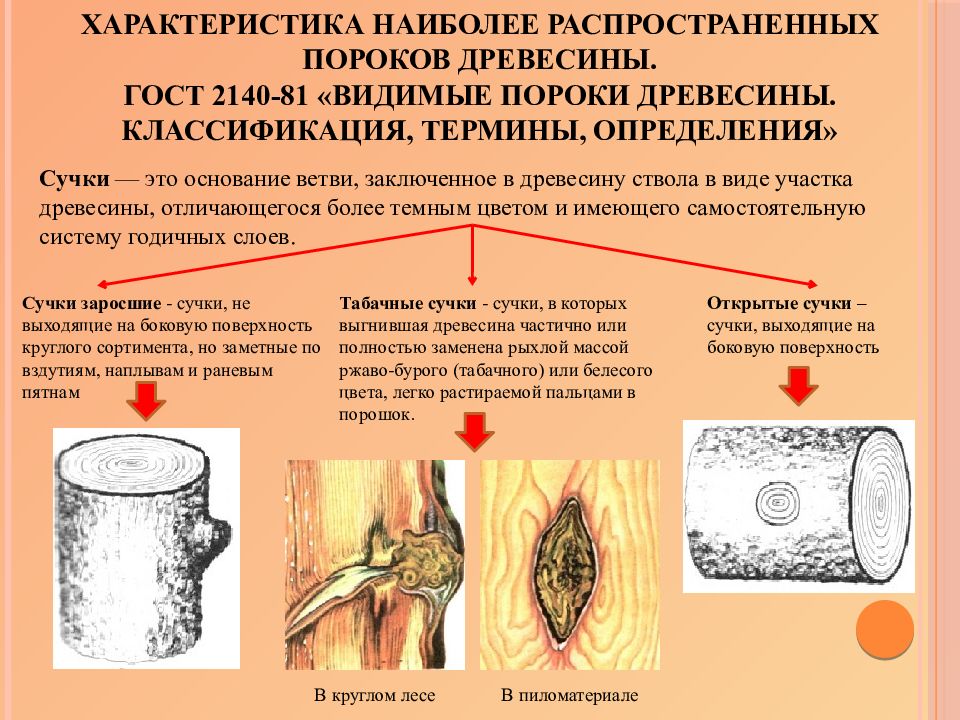 Презентация классификация пороков древесины