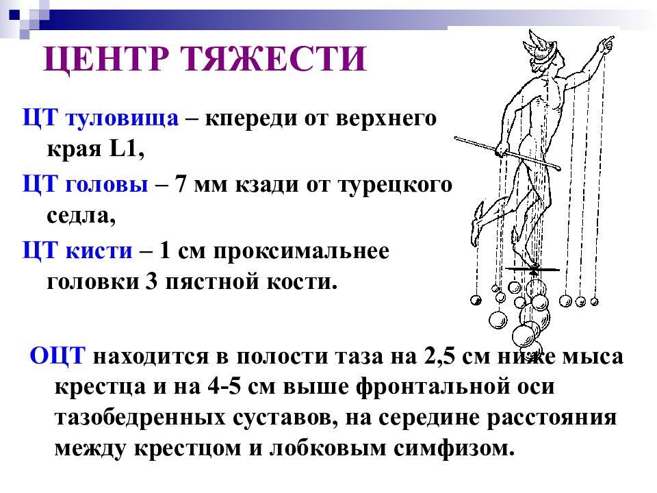 Центр тяжести это. Основы биомеханики человека. Центр тяжести биомеханика. Оцт в биомеханике это. Оцт в анатомии.