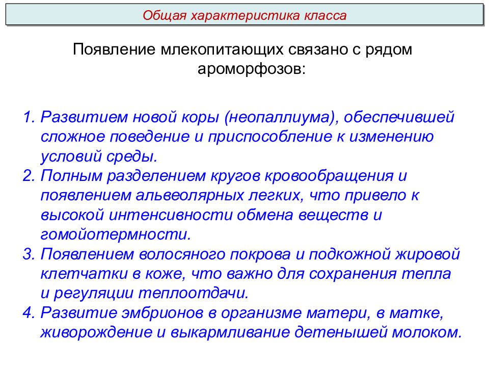 Общая характеристика класса. Особинас ти класа саишика. Особенности классов гиперкулос.