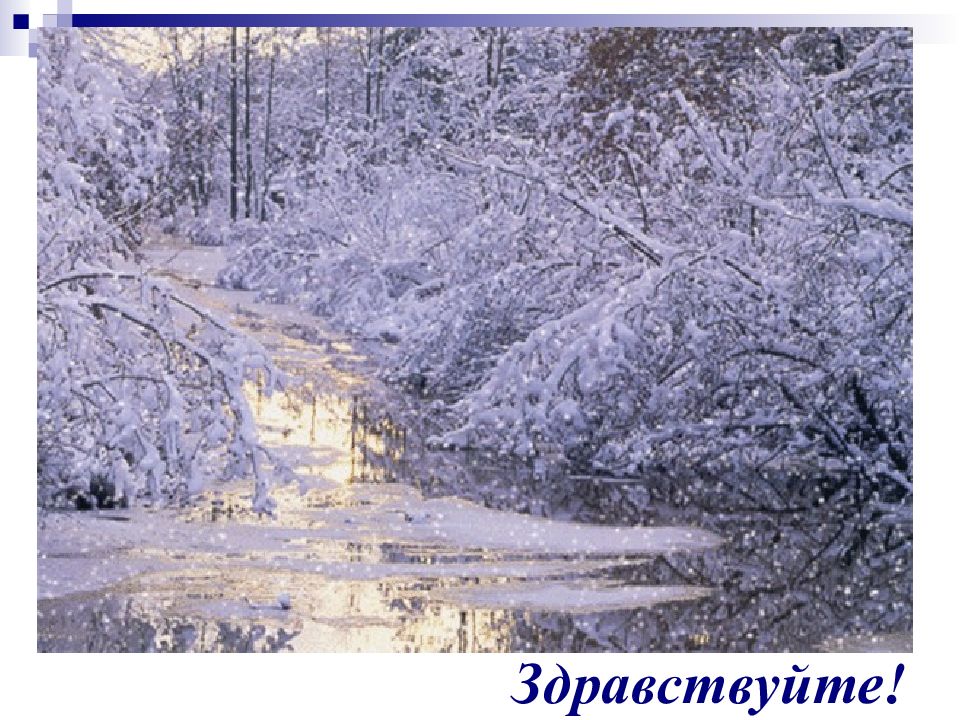 Здравствуйте!