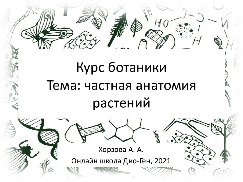 Курс ботаники Тема: частная анатомия растений