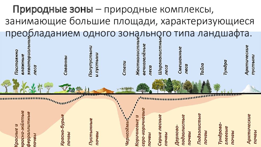 Схема типы растительности