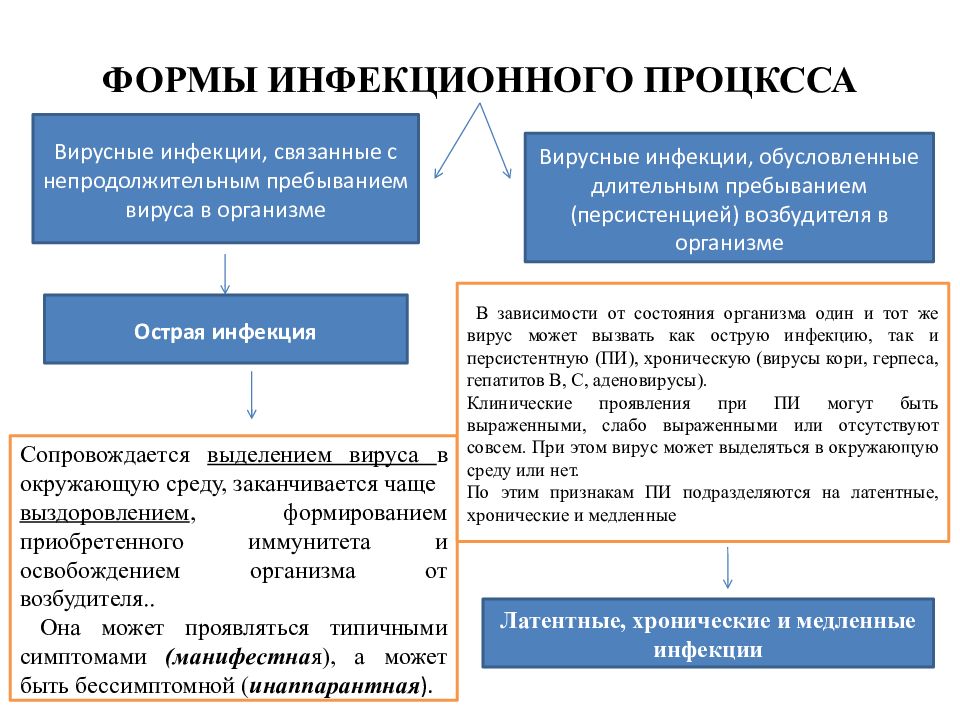 Медленные вирусные инфекции