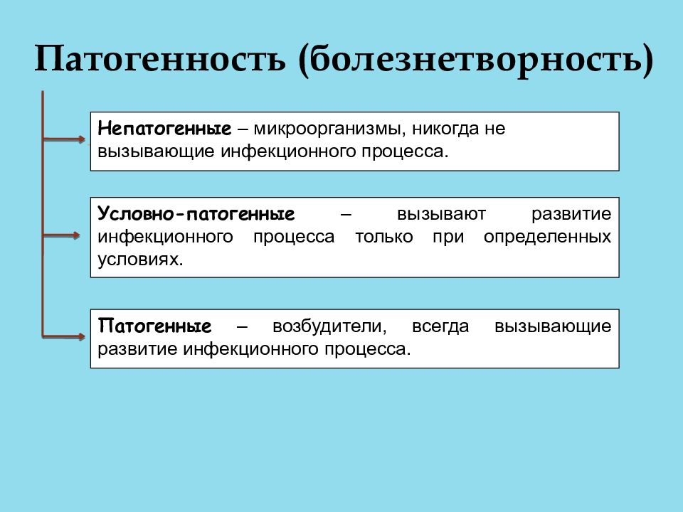 Условно патогенные микроорганизмы. Патогенные и условно патогенные микроорганизмы. Характеристика условно патогенных микроорганизмов. Патогенные и непатогенные микроорганизмы. Условно-патогенные микроорганизмы вызывают.