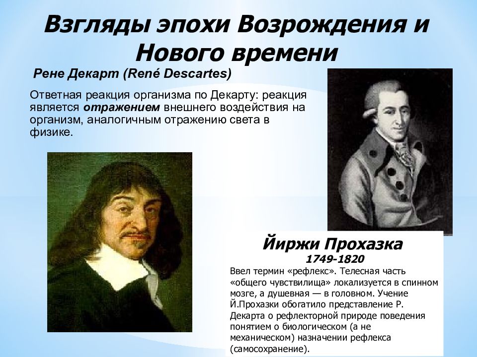 Время в рене. Декарт рефлекс. Р.Декарт, г.Прохазка. Учение о рефлексе Прохазка. Гален Декарт Прохазка.