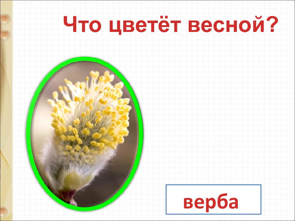 Белозеров подснежники маршак апрель 1 класс презентация школа россии