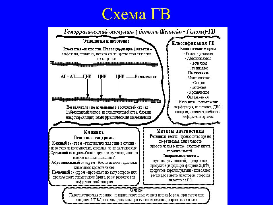 Системный микротромбоваскулит патогенез. Патогенез геморрагического васкулита у детей. Геморрагический васкулит патогенез схема. Геморрагический васкулит патогенез. Патогенез геморрагического васкулита у детей.