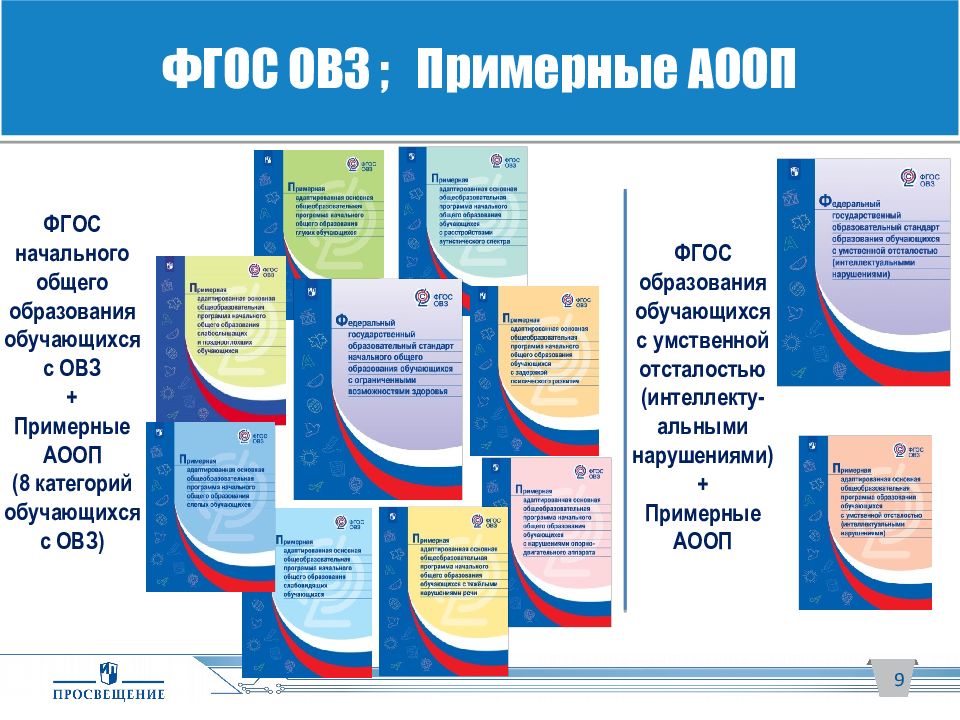 Положение об индивидуальном учебном плане для детей с овз