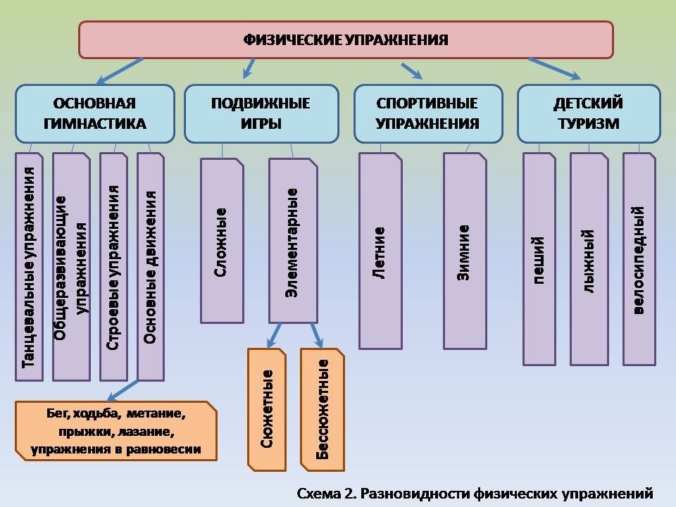 Признаки физических упражнений. Виды физических упражнений. Основные группы физических упражнений. Схема классификации физических упражнений. Классификация физических упражнений таблица.