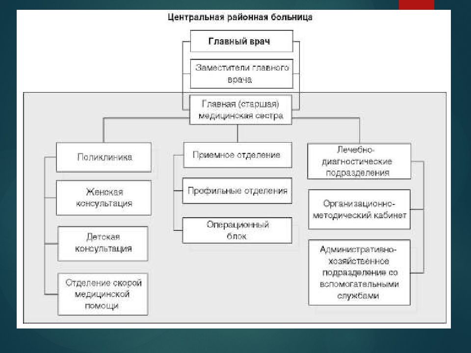 Иерархия в больнице схема