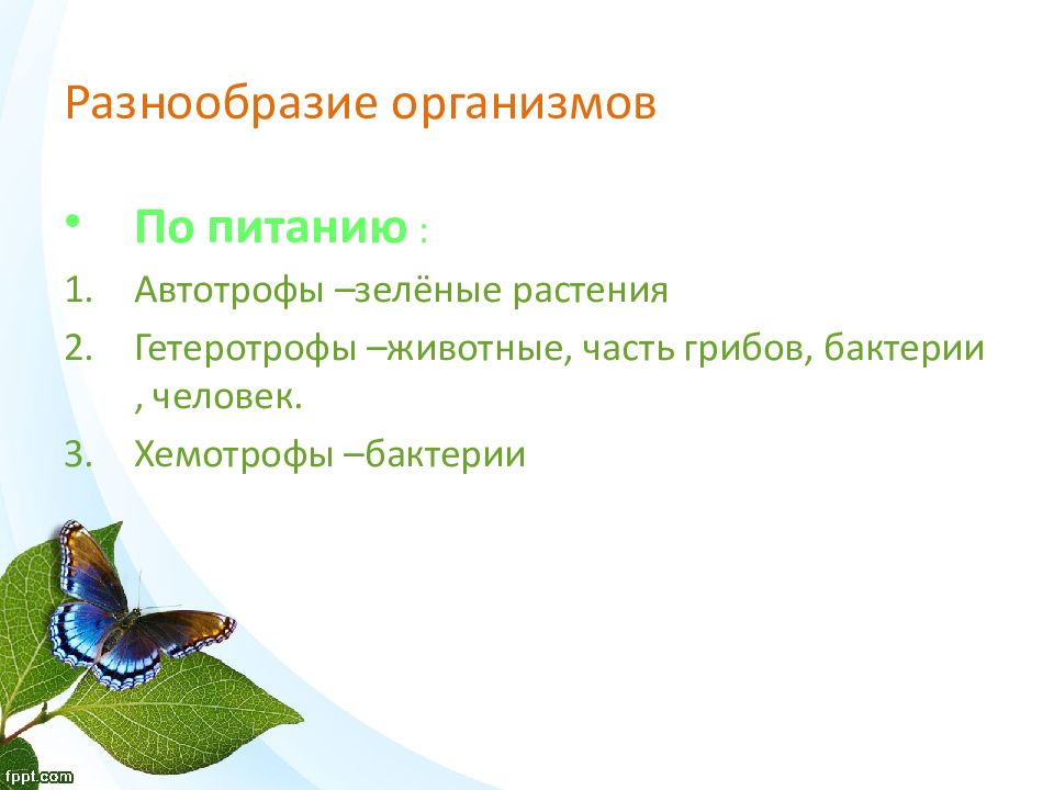 Разнообразие организмов. Разнообразие организмов по питанию. Растения гетеротрофы. Презентацию 