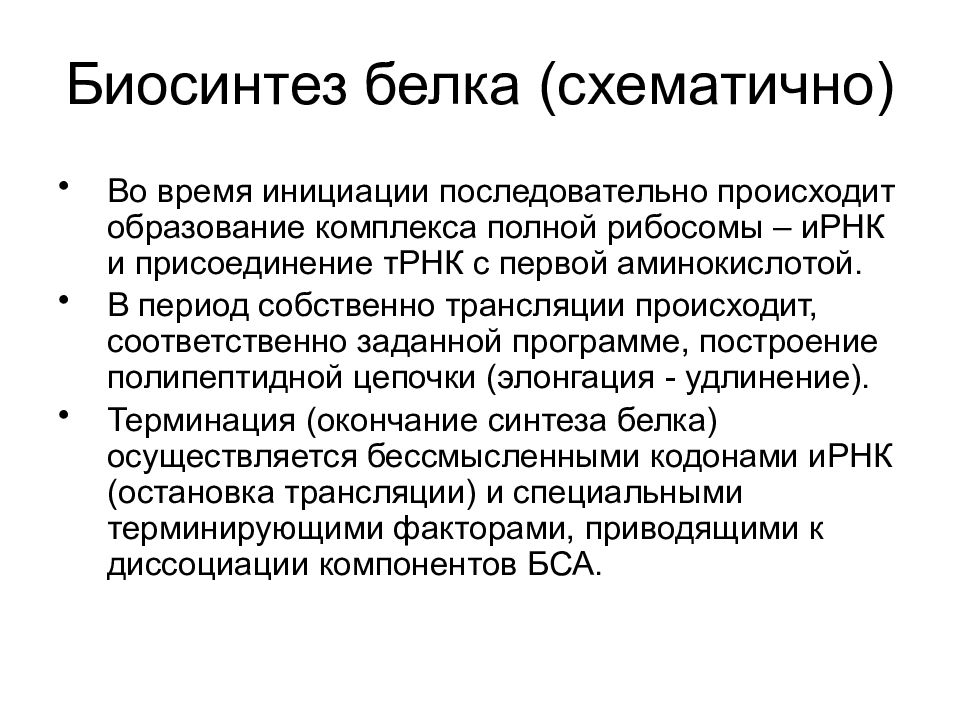 При синтезе белка происходит образование. Синтетический аппарат клетки. При синтезе белков происходит. Функциональные аппараты клетки. Функциональная морфология клетки.