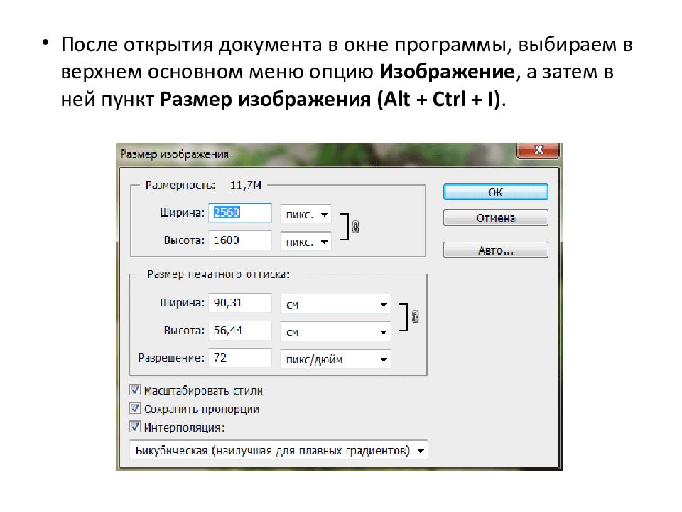 Назначение и основные возможности программы Adobe Photoshop