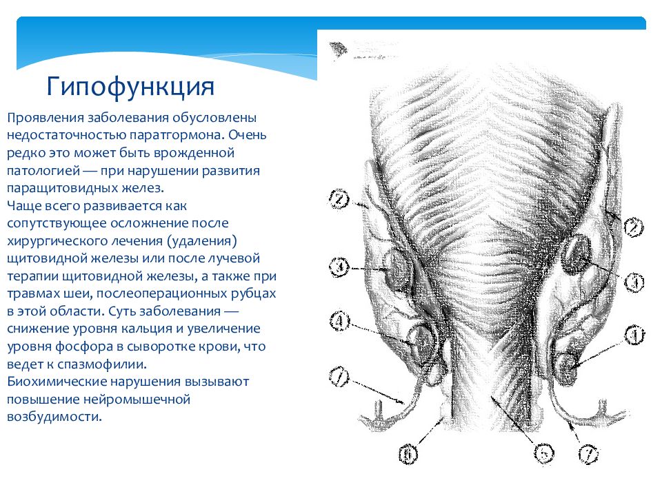 Презентация заболевания паращитовидных желез