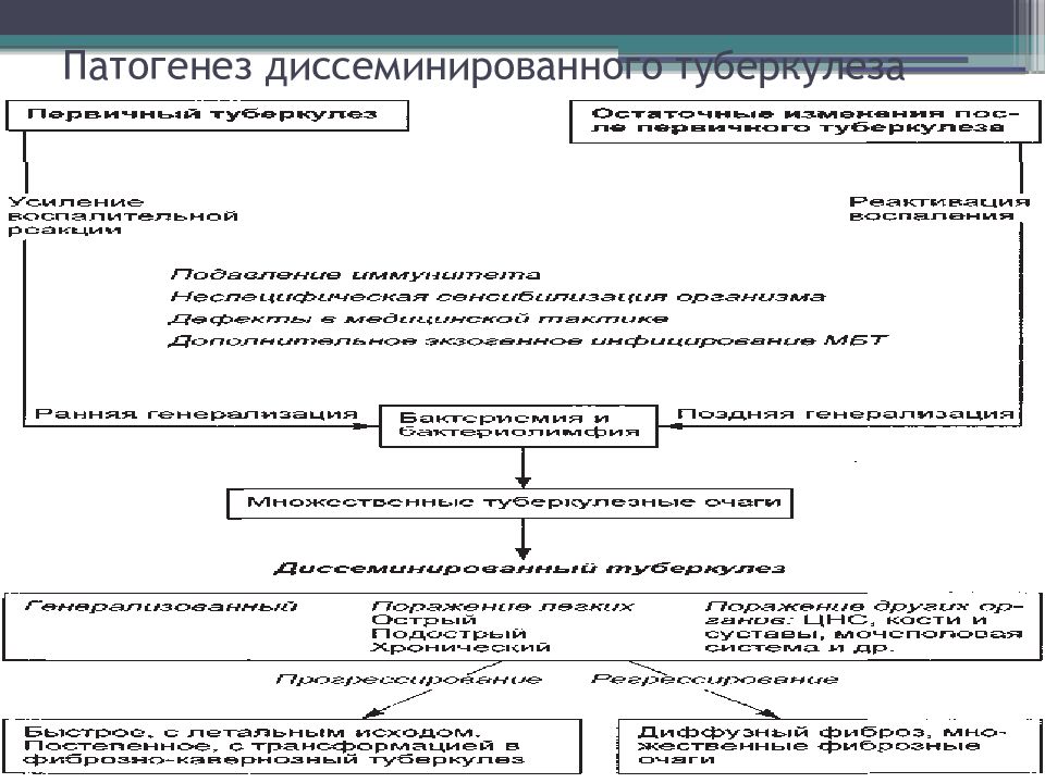 Патогенез туберкулеза презентация