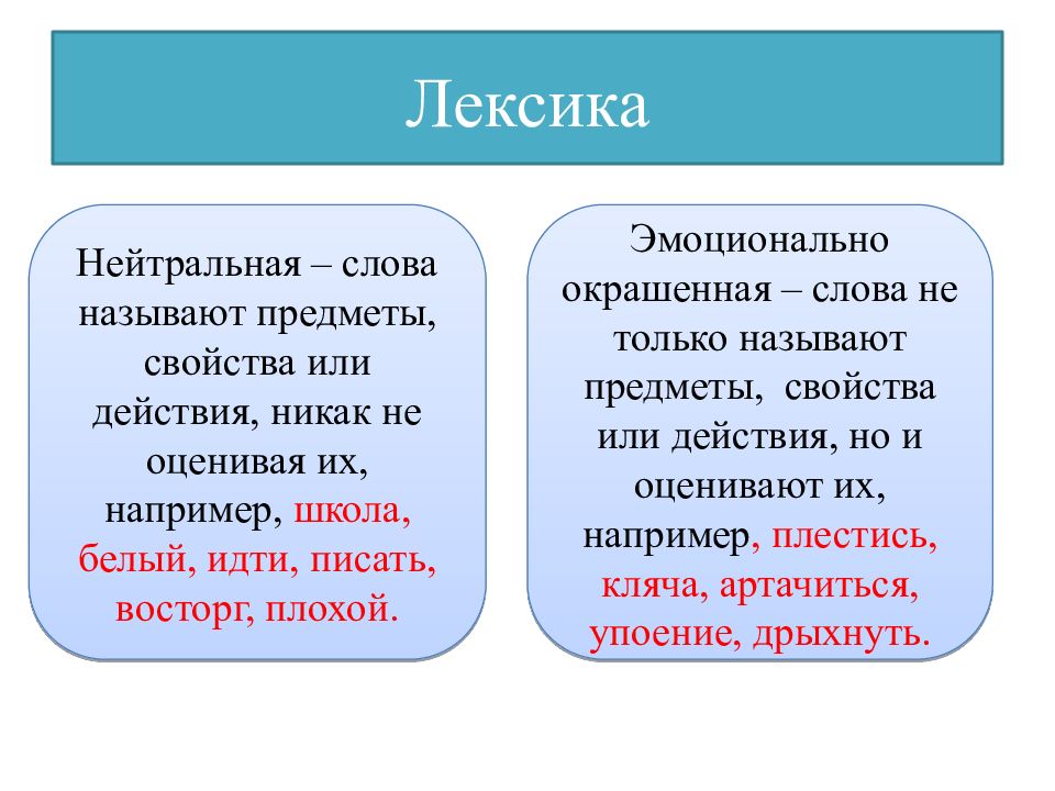 Современная лексика