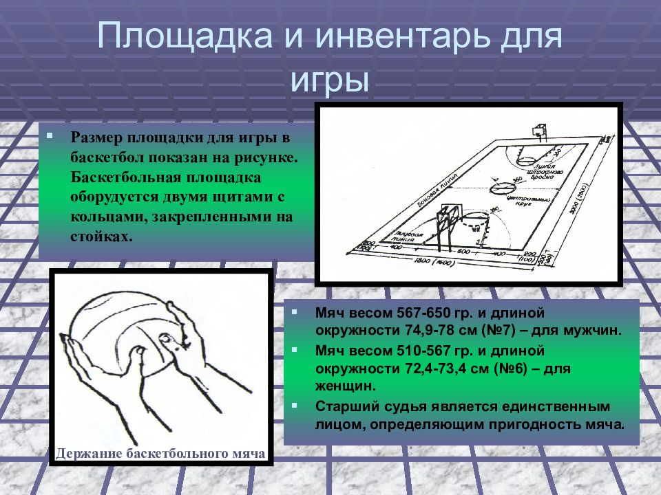 Презентация на тему баскетбольная площадка