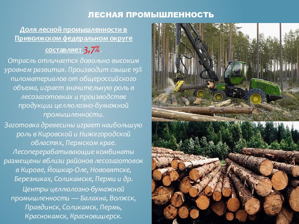 Экономика в лесной отрасли. Лесная промышленность Волго-Вятский России. Предприятия Лесной промышленности. Лесная промышленность промышленность. Отрасли Лесной промышленности.