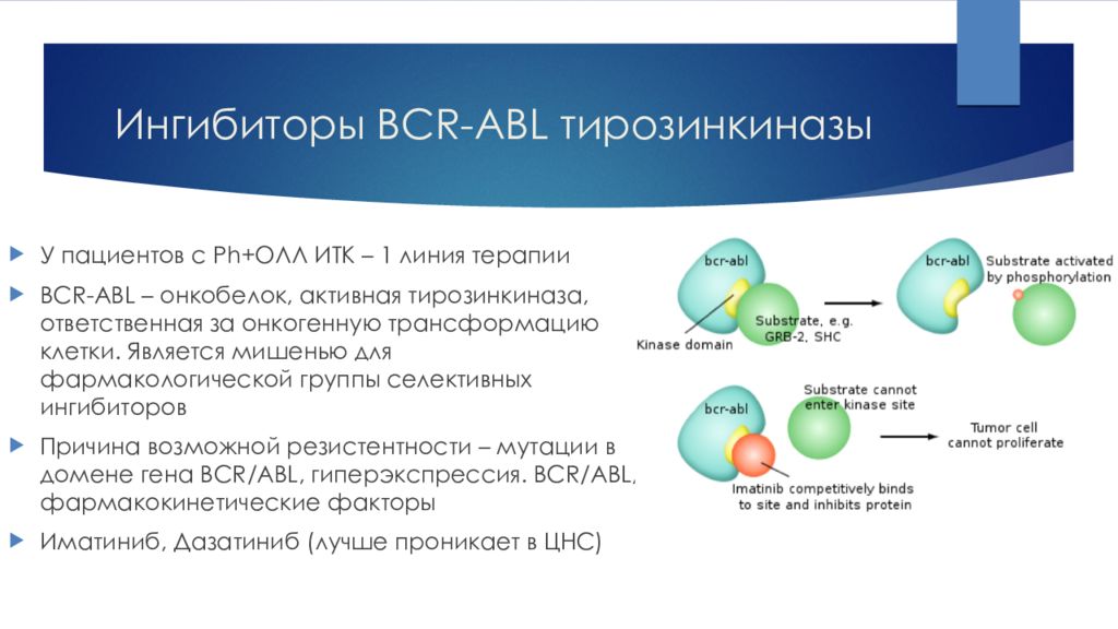 Ингибиторы тирозинкиназы. Ингибиторы тирозинкиназ BCR ABL. Ингибитор BCR-ABL-тирозинкиназы. Блокаторы тирозинкиназы. Ген BCR-ABL что это.