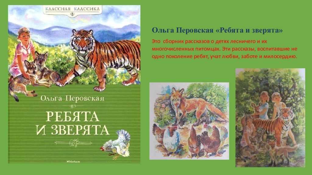 Мир животных рассказов. Книга ребята и зверята Ольга Перовская. Звери и птицы на книжных страницах. И зверь и птица на книжных страницах сценарий. Рисунок звери и птицы на книжных страницах.