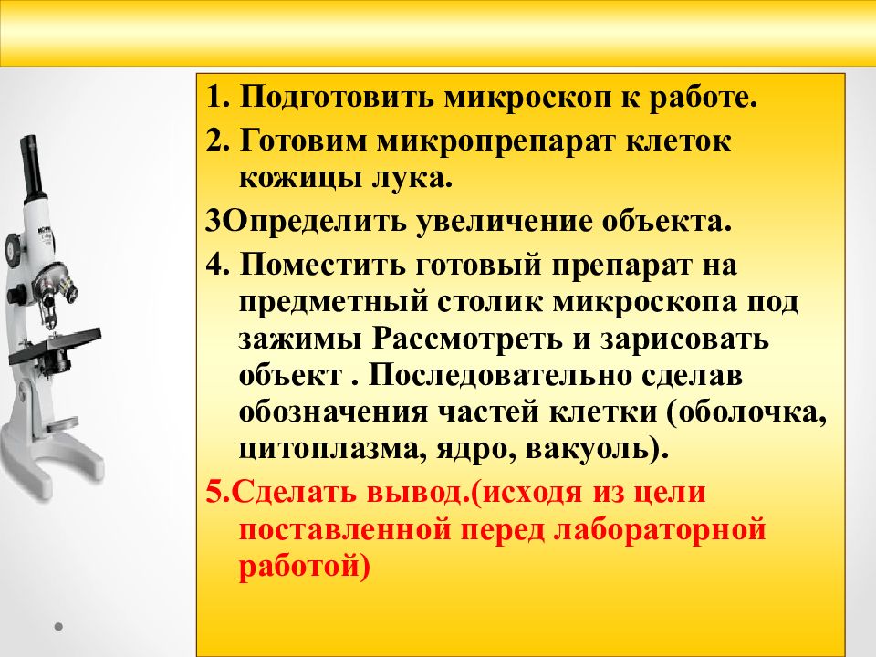 План лабораторной работы по биологии