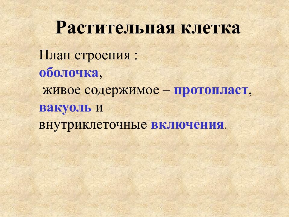 Живое содержимое. Морфолого-анатомическая дифференциация высших растений в онтогенезе.