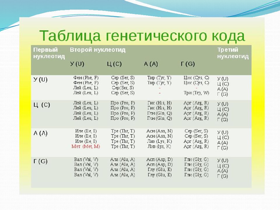 Генетическая система. Решение задач по молекулярной биологии. Задачи по биологии молекулярная биология с решением. Таблица для задач по молекулярной биологии. Задачи молекулярной биологии.