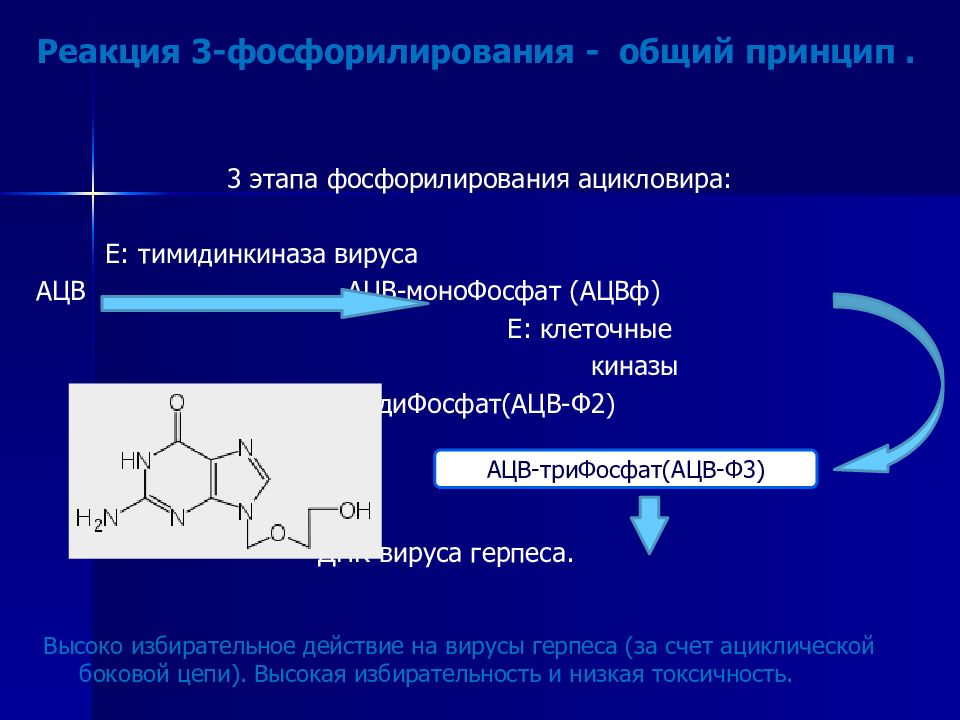 Механизм действия ацикловира. Фосфорилирование ацикловира. Ацикловир действие на вирусы. Тимидинкиназа вируса это.