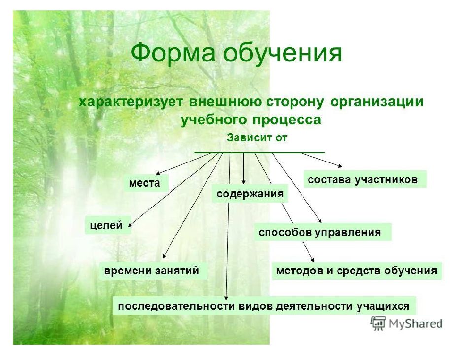 Формы организации специального обучения презентация