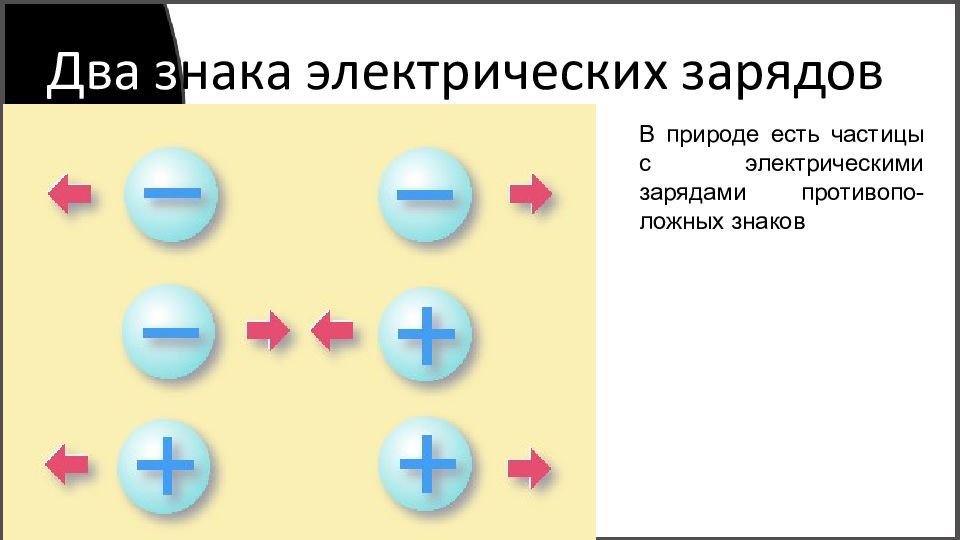 Какие два электрических зарядов существуют в природе