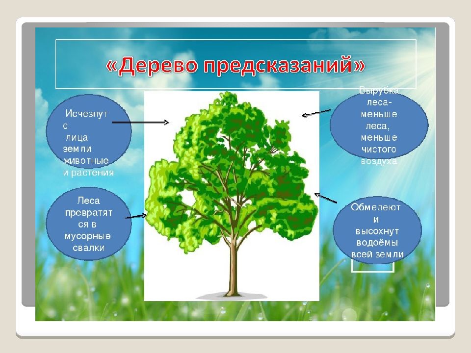 Дерево предсказаний картинка