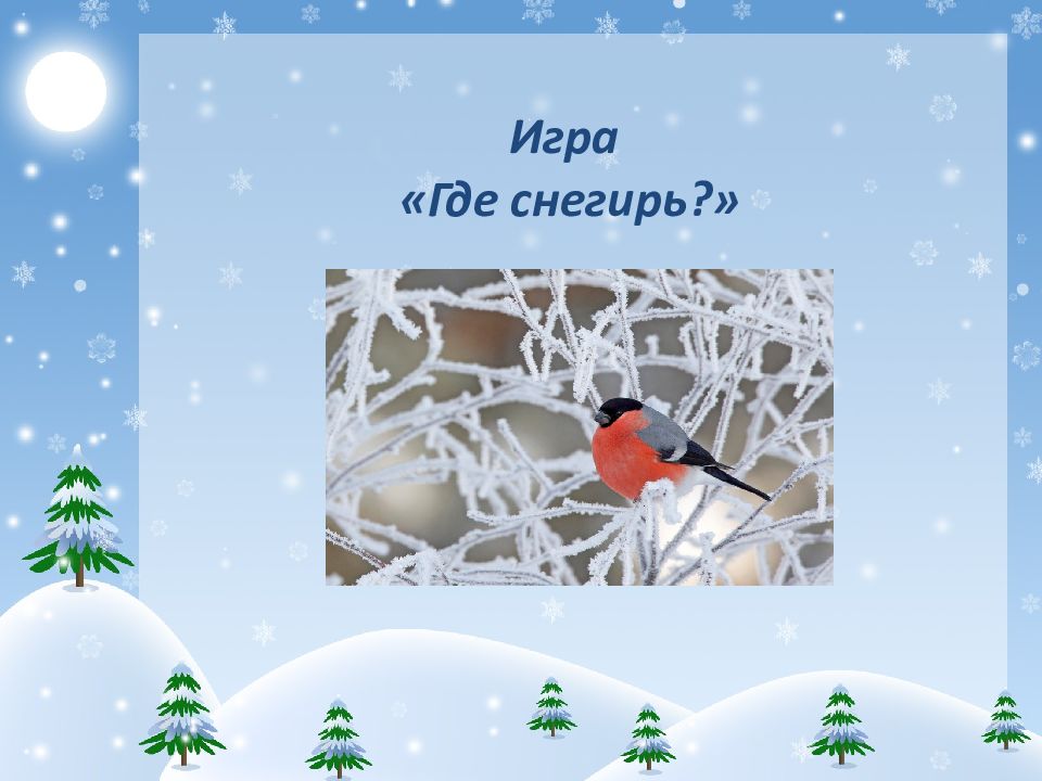 зима признаки зимы зимующие птицы