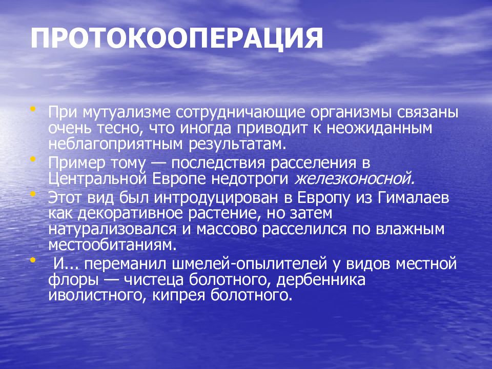 Мутуализм протокооперация. Натурализовавшийся вид.