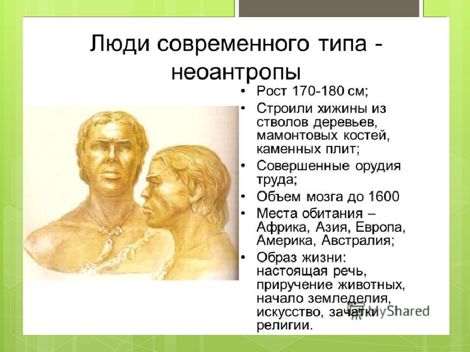 неоантропы